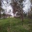  Land for sale in Chile, Chillan, Diguillin, Nuble, Chile