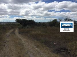  Grundstück zu verkaufen in Apaseo El Alto, Guanajuato, Apaseo El Alto, Guanajuato