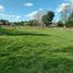  Land for sale in Los Rios, Rio Bueno, Ranco, Los Rios