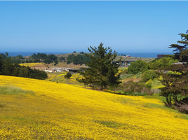  Land for sale in Chile, Pichilemu, Cardenal Caro, Libertador General Bernardo Ohiggins, Chile