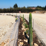  Land for sale in Chile, Pichilemu, Cardenal Caro, Libertador General Bernardo Ohiggins, Chile