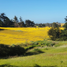  Land for sale in Chile, Pichilemu, Cardenal Caro, Libertador General Bernardo Ohiggins, Chile