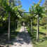  Land for sale in Chile, Buin, Maipo, Santiago, Chile