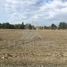  Land for sale in Chile, Los Angeles, Biobío, Biobío, Chile