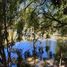 Land for sale in Coquimbo, Ovalle, Limari, Coquimbo