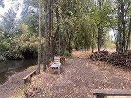  Land for sale in Chile, Los Angeles, Biobío, Biobío, Chile
