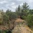  Land for sale in Chile, Los Angeles, Biobío, Biobío, Chile