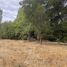  Land for sale in Chile, Los Angeles, Biobío, Biobío, Chile