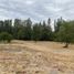  Land for sale in Chile, Los Angeles, Biobío, Biobío, Chile