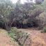  Land for sale in Chile, Los Angeles, Biobío, Biobío, Chile