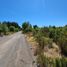  Land for sale in Chile, Los Angeles, Biobío, Biobío, Chile