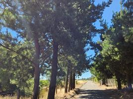  Land for sale in Chile, Los Angeles, Biobío, Biobío, Chile