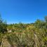  Land for sale in Chile, Los Angeles, Biobío, Biobío, Chile