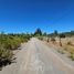  Land for sale in Chile, Los Angeles, Biobío, Biobío, Chile