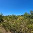  Land for sale in Chile, Los Angeles, Biobío, Biobío, Chile