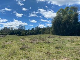  Terreno (Parcela) en venta en Chile, Vilcun, Cautín, Araucanía, Chile