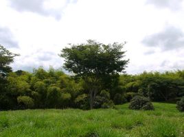  Terreno (Parcela) en venta en Pereira, Risaralda, Pereira