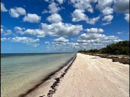  Terreno (Parcela) en venta en Dzidzantun, Yucatán, Dzidzantun