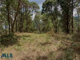  Land for sale in Envigado, Antioquia, Envigado