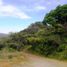  Terrain for sale in Mascota, Jalisco, Mascota