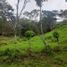 Land for sale in Silvania, Cundinamarca, Silvania