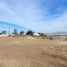  Land for rent in Tijuana, Baja California, Tijuana, Baja California