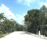  Grundstück zu verkaufen in Cozumel, Quintana Roo, Cozumel