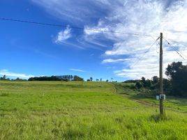  Land for sale in Veinticinco De Mayo, Misiones, Veinticinco De Mayo