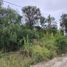  Land for sale in Parana, Entre Rios, Parana