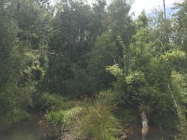  Land for sale in Llanquihue, Los Lagos, Puerto Montt, Llanquihue