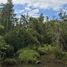  Land for sale in Llanquihue, Los Lagos, Puerto Montt, Llanquihue