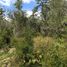  Land for sale in Llanquihue, Los Lagos, Puerto Montt, Llanquihue
