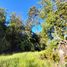  Terreno (Parcela) en venta en Llanquihue, Los Lagos, Puerto Montt, Llanquihue