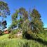  Terreno (Parcela) en venta en Llanquihue, Los Lagos, Puerto Montt, Llanquihue
