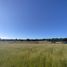  Land for sale in Chile, Puerto Montt, Llanquihue, Los Lagos, Chile