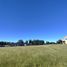  Land for sale in Chile, Puerto Montt, Llanquihue, Los Lagos, Chile