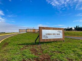  Land for sale in Chile, Puerto Montt, Llanquihue, Los Lagos, Chile