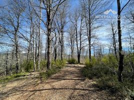  Terreno (Parcela) en venta en Malleco, Araucanía, Curacautin, Malleco