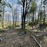  Terreno (Parcela) en venta en Malleco, Araucanía, Curacautin, Malleco