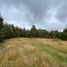 Land for sale in Chile, Castro, Chiloe, Los Lagos, Chile