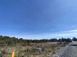  Land for sale in Chile, Puerto Montt, Llanquihue, Los Lagos, Chile