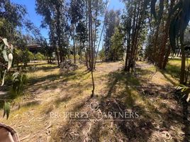  Land for sale in Chile, Puchuncavi, Valparaiso, Valparaiso, Chile