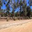  Land for sale in Chile, Puchuncavi, Valparaiso, Valparaiso, Chile