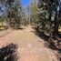  Land for sale in Chile, Puchuncavi, Valparaiso, Valparaiso, Chile