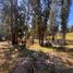  Land for sale in Chile, Puchuncavi, Valparaiso, Valparaiso, Chile