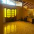  Land for sale in Chile, Buin, Maipo, Santiago, Chile