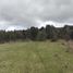  Land for sale in Chile, Los Muermos, Llanquihue, Los Lagos, Chile