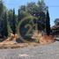  Land for sale in Chile, Los Angeles, Biobío, Biobío, Chile