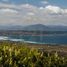  Land for sale in Chile, La Ligua, Petorca, Valparaiso, Chile