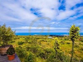  Land for sale in Chile, La Ligua, Petorca, Valparaiso, Chile